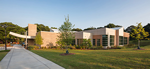 THE LOUISE WATLEY LIBRARY